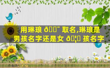 用琳琅 🐯 取名,琳琅是男孩名字还是女 🦊 孩名字